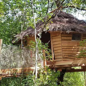Dans Les Arbres - Les Lutins Camping Mechmont